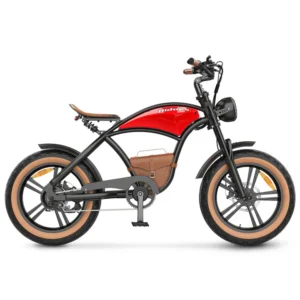 Hidoes B10 Fat Tire Electric Byke