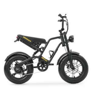 Hidoes B6 Mini Electric Bike