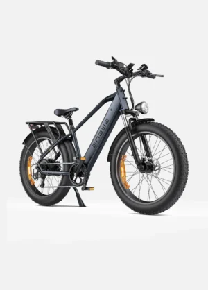 ENGWE E26 - 250W 140 km Dual Suspension All-Terrain E-bike