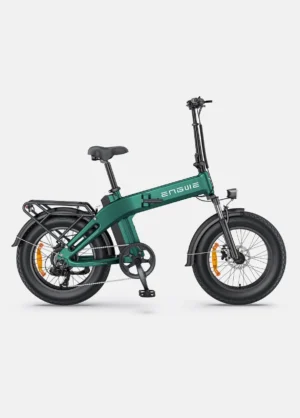 EP-2 3.0 Boost - EU Legal 250W 75Nm 120km Torque Sensor E-Bike