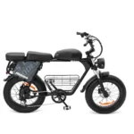 Hidoes B9 Dual Battery Electric Bike