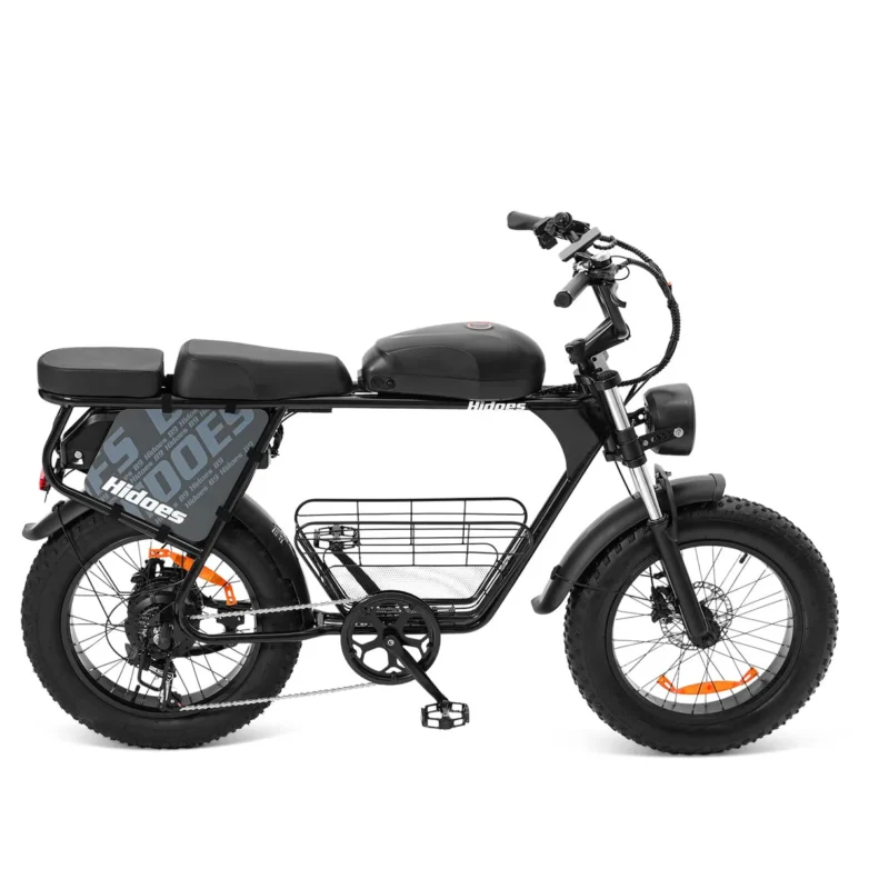 Hidoes B9 Dual Battery Electric Bike Hidoes B9 Dual Battery Electric Bike